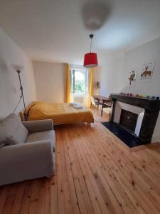 Grand appartement entre le château et la Cathédrale