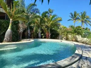 LeuQuinze - Stella Matutina