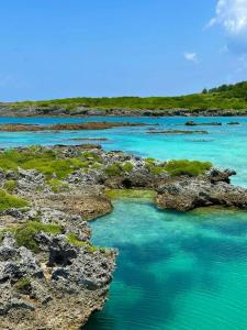 Serendipity KIKAI 喜界島