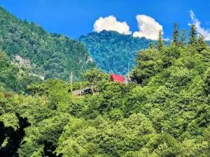 Nepoka in Machakhela - Machakhlispiri