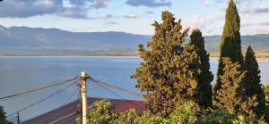 Dojran place full of love