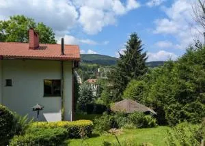 Dom dla 10-12 osób w centrum uzdrowiska Świeradów-Zdrój - 希维拉杜夫-兹德鲁伊