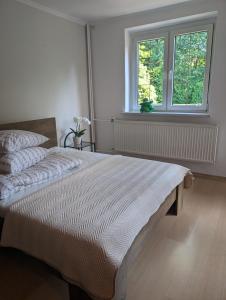 Dom dla 10-12 osób w centrum uzdrowiska Świeradów-Zdrój