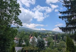 Dom dla 10-12 osób w centrum uzdrowiska Świeradów-Zdrój