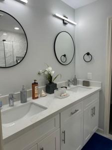 Spacious 1 Bdrm Studio Montrose
