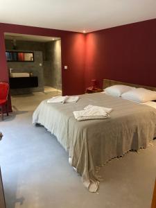 Villas Grand loft proche du centre avec jardin et piscine : photos des chambres