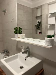 Mall Bucuresti Vitan Studio