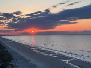 Pelicans Perch @ Seawatch