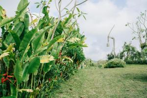 Pondok Batur in Kawinaya