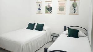 Tauch Cancún Centro