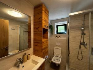 Holiday home Bilini Dvori - house with swimming pool