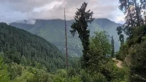 Hercue's Hillside Homestay - Bajaura