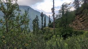 Hercues Hillside Homestay