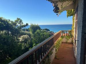 Double Room with Park View