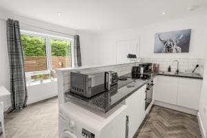 Beautiful 1 BR apt with private patio and free parking