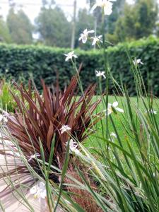 Casa Fresno Cabañas Atahualpa 2