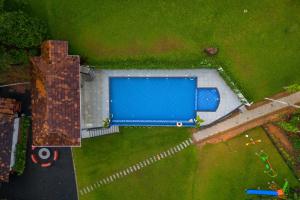 Theyila Wayanad Premium Pool Resort