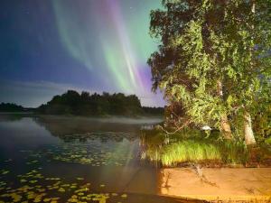 Liljevikin Ihanaranta