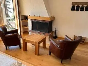 Alpe des chaux 61 03 - Taveyannaz