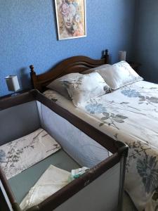 Appartements Grand appartement au coeur de la region alsacienne : photos des chambres