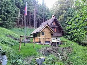 Creekside chalet - Potoki