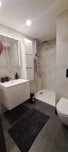 Ljubljana Nest- centre, free parking- renovated August 2024