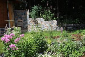 Idyllisches Haus mit Garten und Saunahütte in der Natur