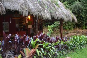 Bonita casa con piscina en amazonia