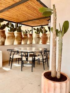 Penthouse Lady Packard