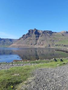 Bergistangi Apartment