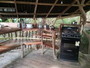 Casa del musgo y helecho