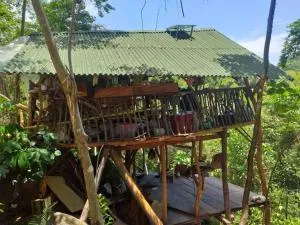 Casa del musgo y helecho - 米卡