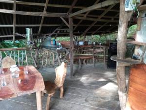 Casa del musgo y helecho