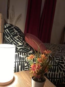 Appartements L-Oostaloo Logement de vacances : photos des chambres
