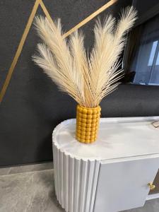 Hani Laxury Homes City Oasis Garden