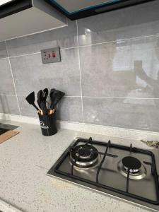 Hani Laxury Homes City Oasis Garden