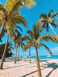 Royal lagoon room - 坎昆