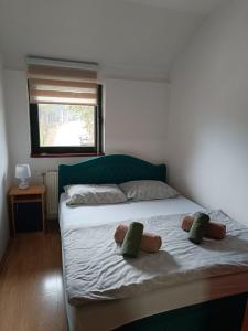 Apartman Centar Vila Jezero