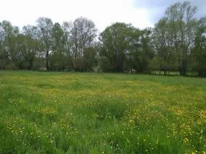 cosy, zen, télétravail cool - Conflans-en-Jarnisy