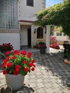 Apartmani Mirjana 