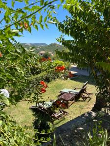 Country house - il Rampichino