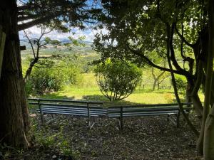 Country house - il Rampichino