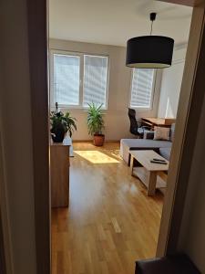 Apartman Aleksic
