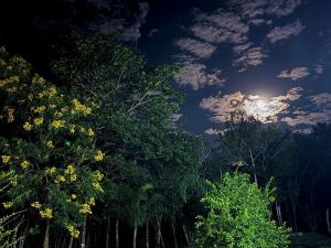 Recanto Dona Ana (chácara)