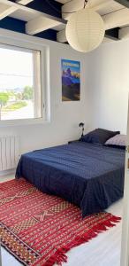 Beau duplex marseillais très lumineux