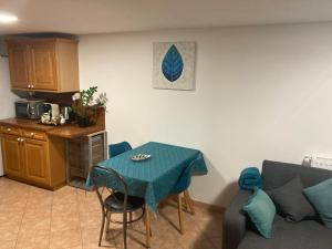 Appartements Au calme dans maison en rez de jardin a 2,2 kms du Groupama stadium et salle LDLC Arena : photos des chambres