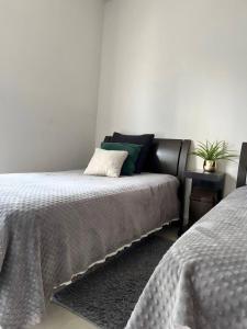 Departamento completo en el corazòn de la ciudad de Mty