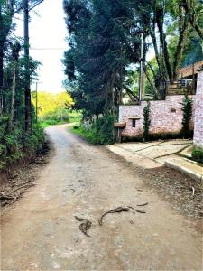 casa da flor estúdio com lareira