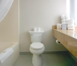 Deluxe King Suite - Non-Smoking room in Quality Inn & Suites Rapid City