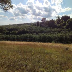 Orvieto Casale Podere Selvatto, Umbria